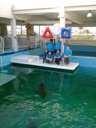 Team 79 Krunch visiting Winter the Dolphin at the Clearwater Marine Aquarium